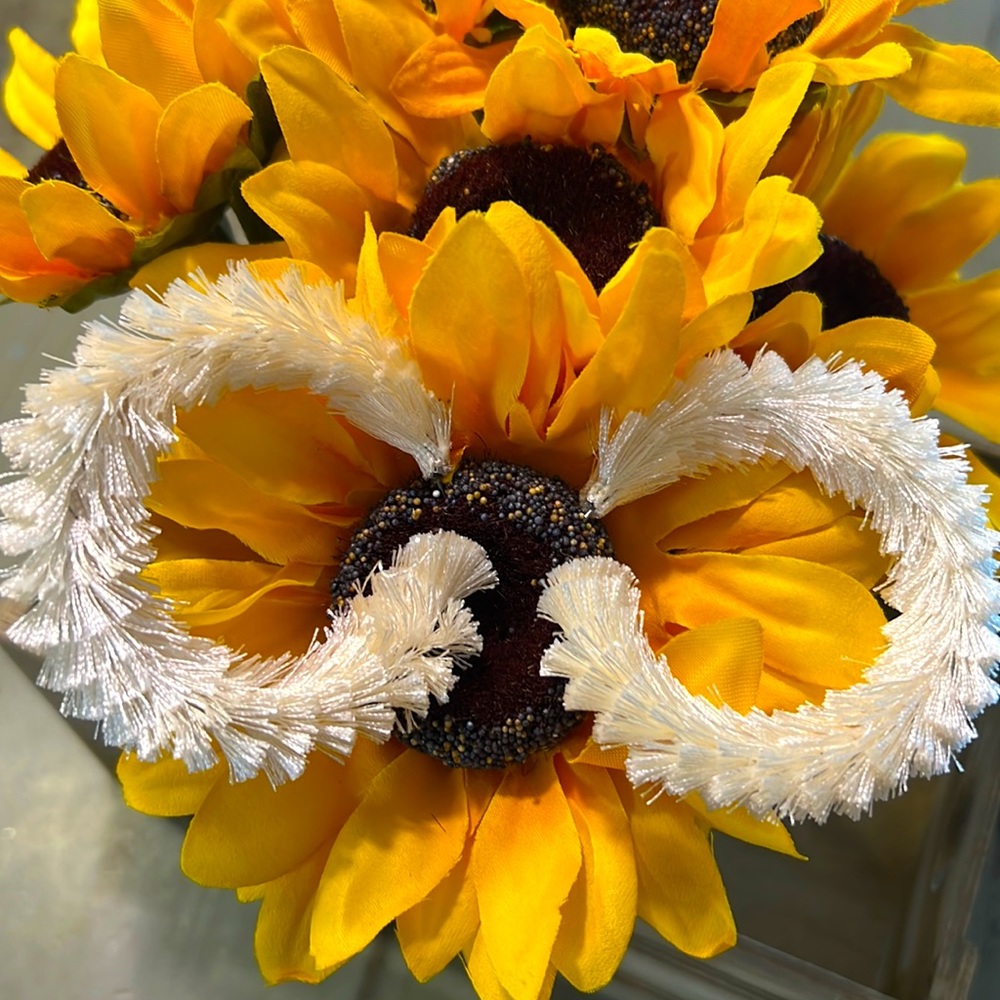 Cream earrings hoop style